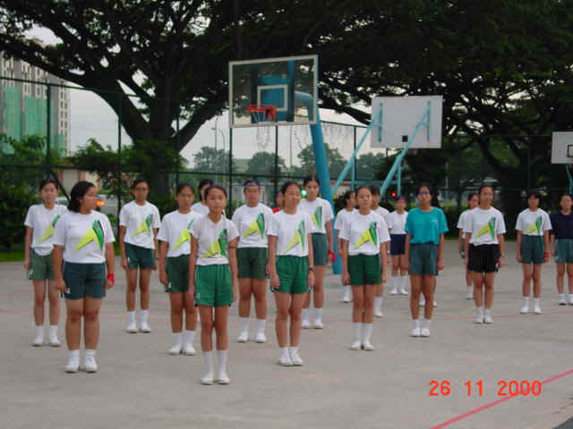 PT4.jpg (62057 bytes)