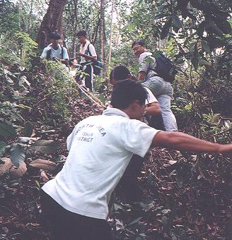 down Slope.JPG (37524 bytes)