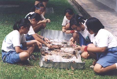 fireLighting.JPG (40224 bytes)