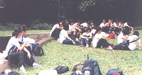 gg ckpt1.JPG (34916 bytes)