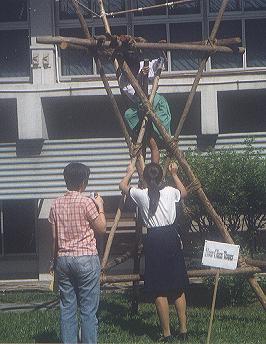 pic5.JPG (23857 bytes)