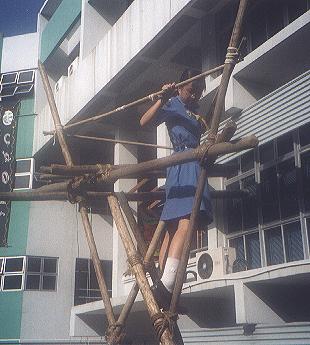 pic8.JPG (26080 bytes)